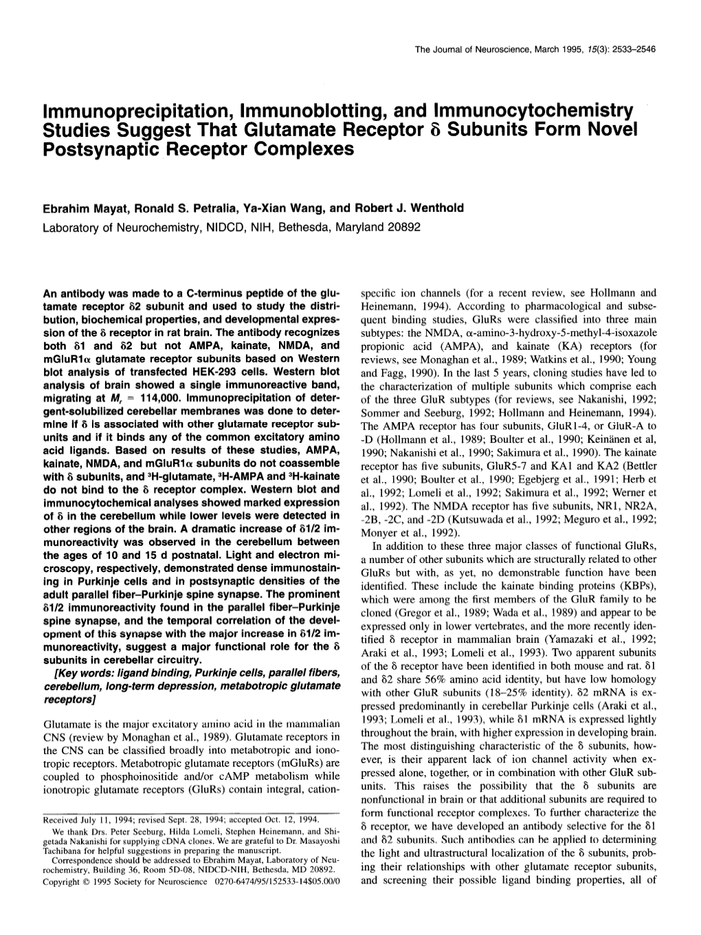 Immunoprecipitation, Immunoblotting, and Lmmunocytochemistry Studies Suggest That Glutamate Receptor 6 Subunits Form Novel Postsynaptic Receptor Complexes