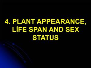 4-Plant Appearance, Life Span and Sex Status