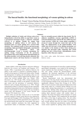 The Functional Morphology of Venom Spitting in Cobras Bruce A