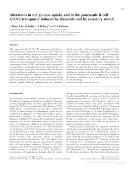 Alterations in Net Glucose Uptake and in the Pancreatic B-Cell GLUT2 Transporter Induced by Diazoxide and by Secretory Stimuli