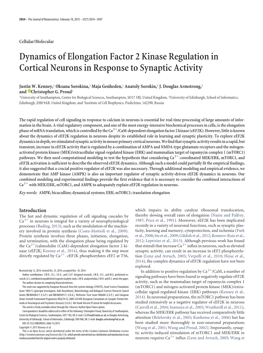 Dynamics of Elongation Factor 2 Kinase Regulation in Cortical Neurons in Response to Synaptic Activity