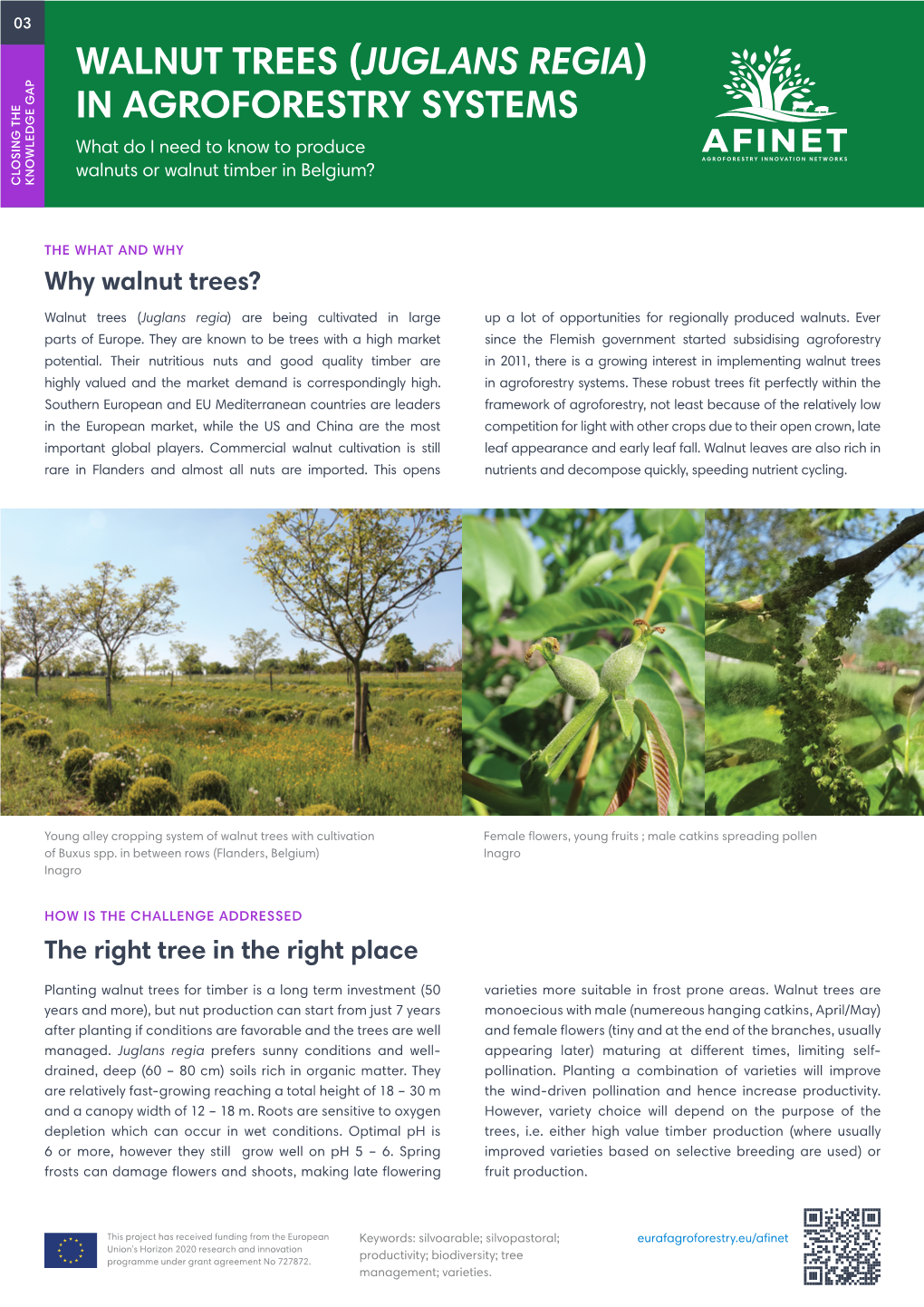 JUGLANS REGIA) in AGROFORESTRY SYSTEMS What Do I Need to Know to Produce Walnuts Or Walnut Timber in Belgium? CLOSING the the CLOSING KNOWLEDGE GAP