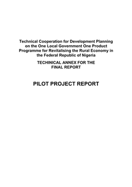Pilot Project Report