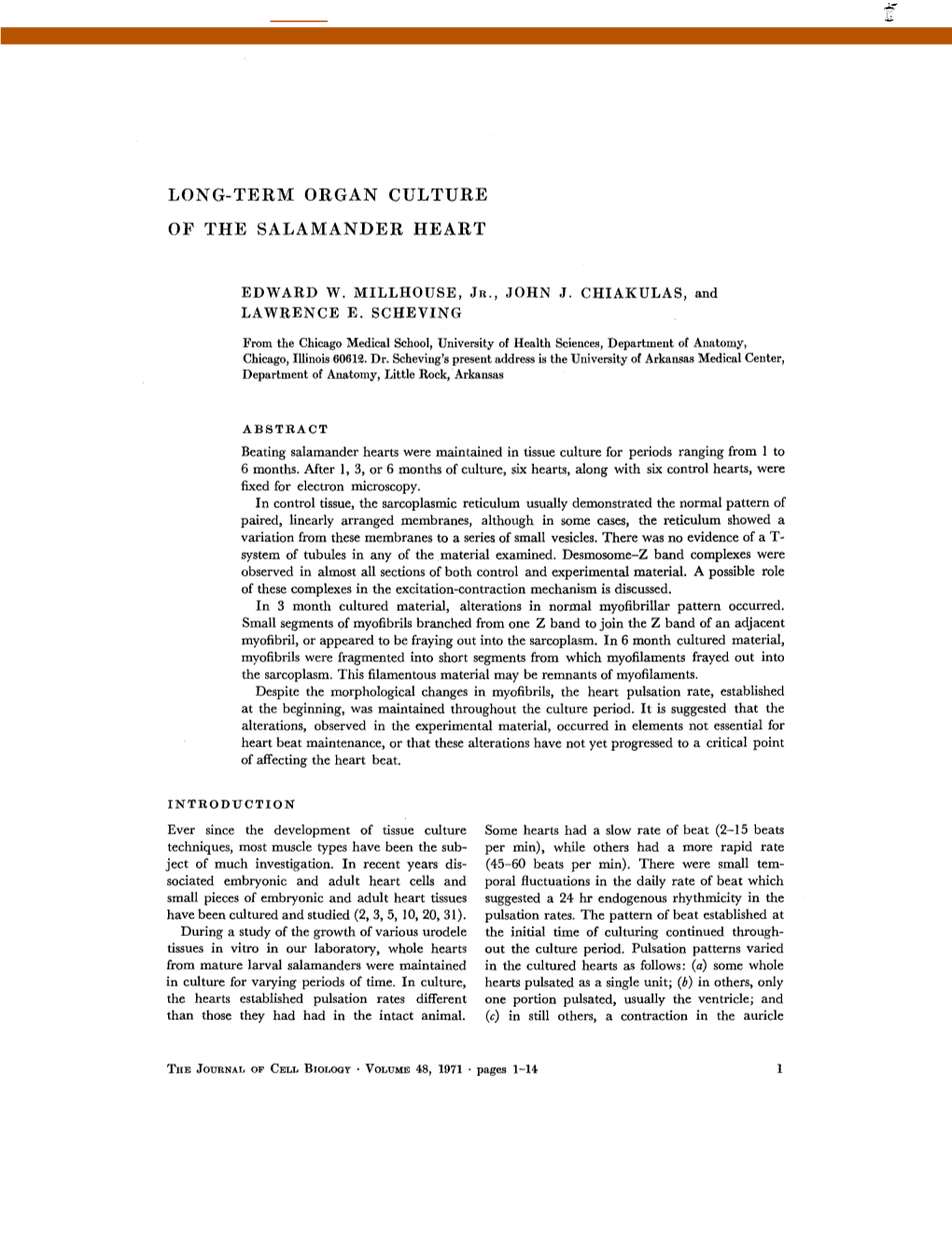 Long-Term Organ Culture of the Salamander Heart