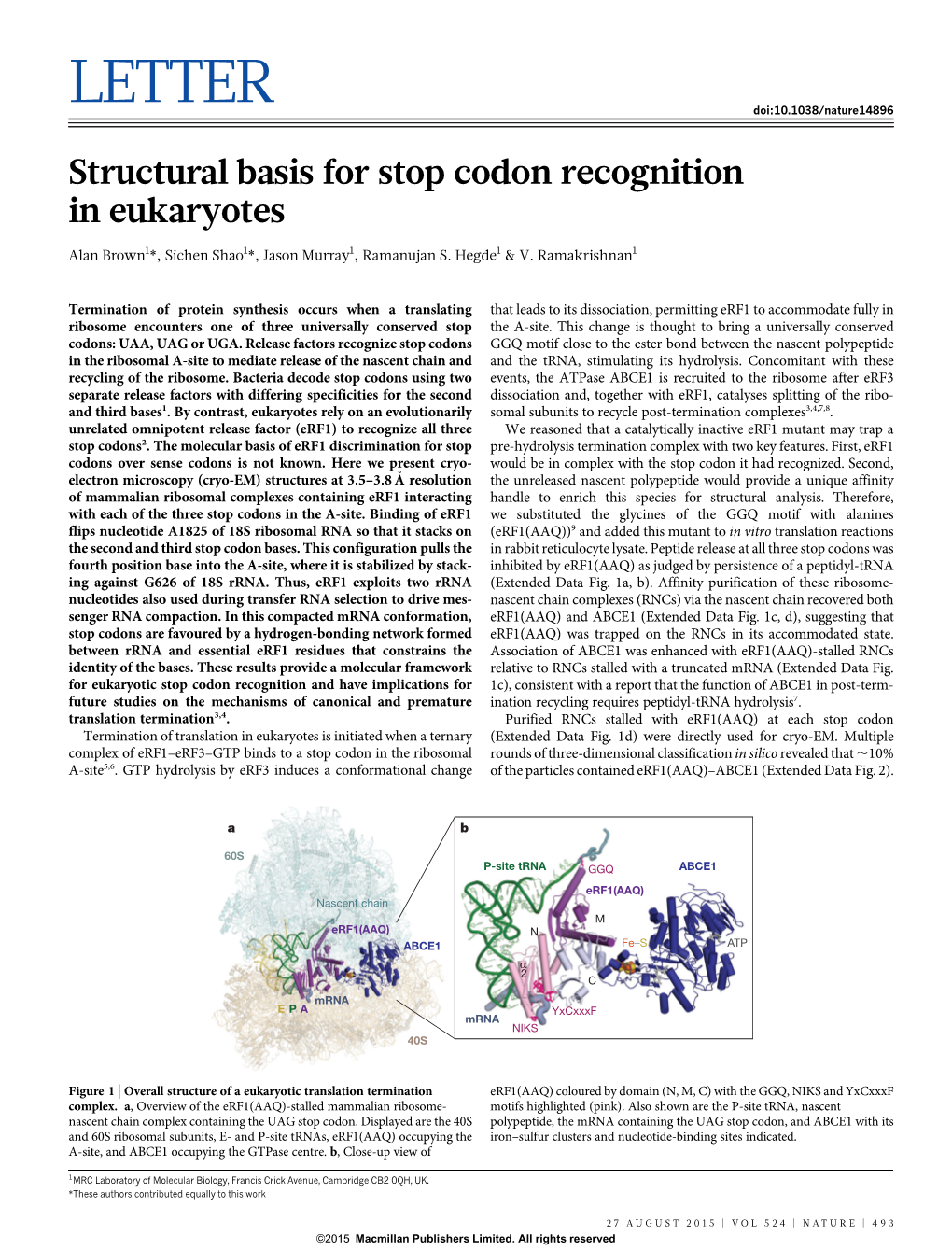 LETTER Doi:10.1038/Nature14896