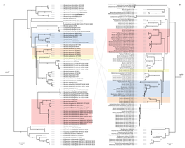 Fig 1 Com Cox1 Cytb