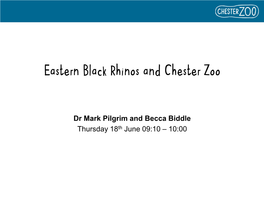 Black Rhino Births at Chester Zoo