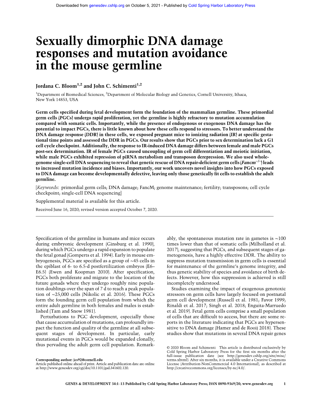 Sexually Dimorphic DNA Damage Responses and Mutation Avoidance in the Mouse Germline