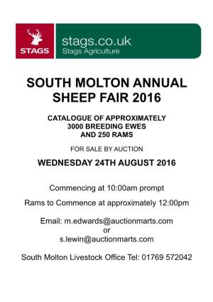 South Molton Annual Sheep Fair 2016