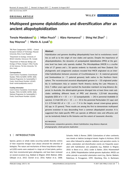 Multispeed Genome Diploidization and Diversification After an Ancient Allopolyploidization