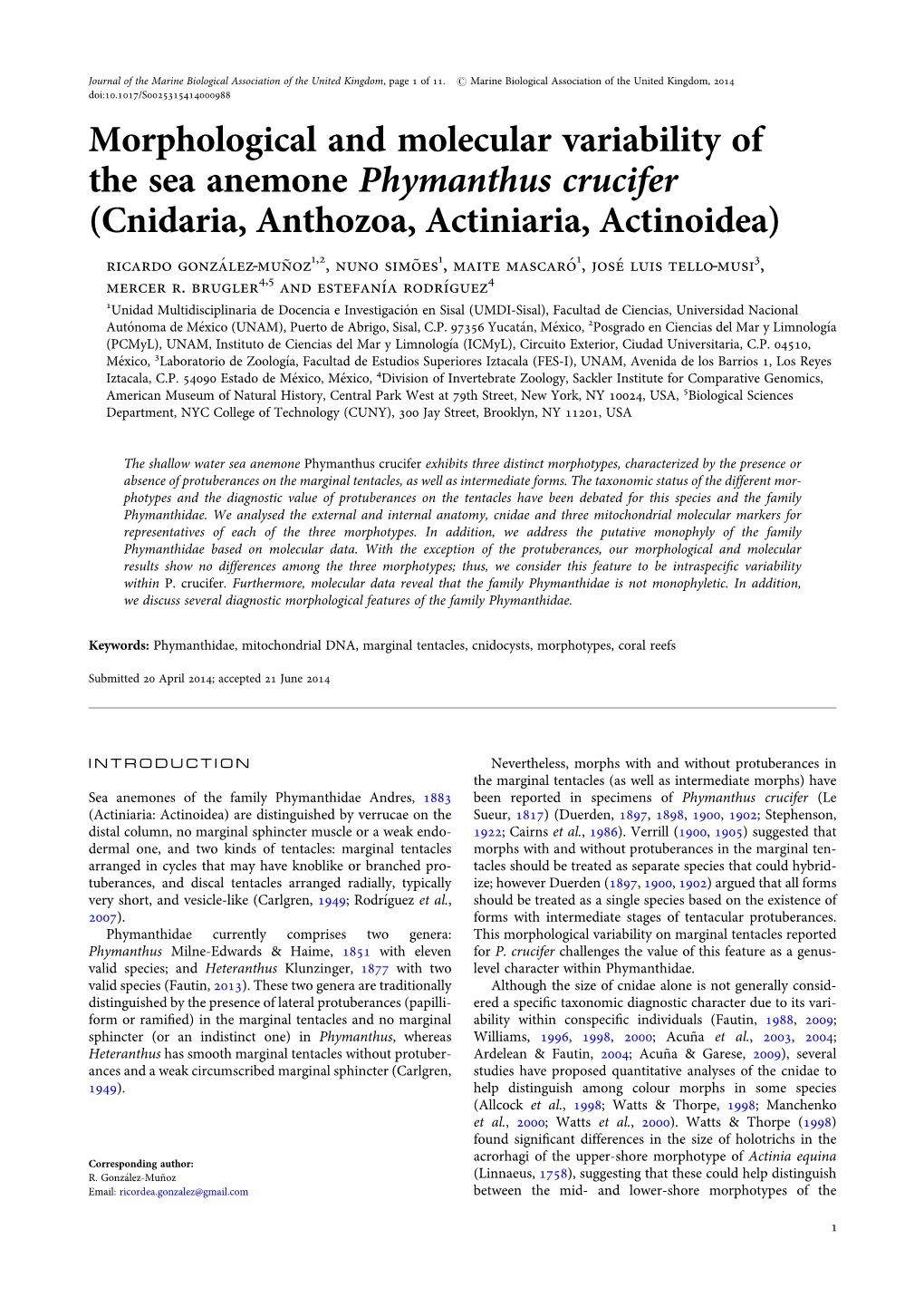 Morphological and Molecular Variability of the Sea