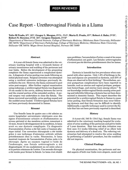 Case Report - Urethrovaginal Fistula in a Llaina