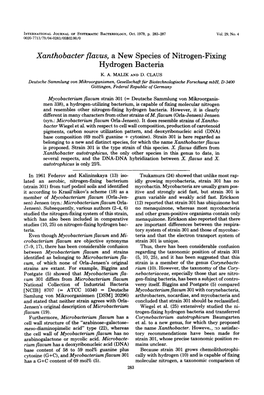 Xanthobacter Flavus, a New Species of Nitrogen-Fixing Hydrogen Bacteria