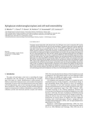 Xyloglucan Endotransglucosylase and Cell Wall Extensibility E