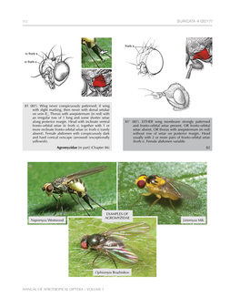 Manual of Afrotropical Diptera – Volume 1 Suricata 4 (2017) 313