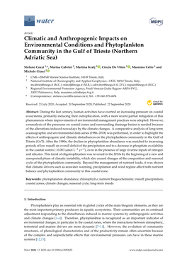 Climatic and Anthropogenic Impacts on Environmental Conditions and Phytoplankton Community in the Gulf of Trieste (Northern Adriatic Sea)