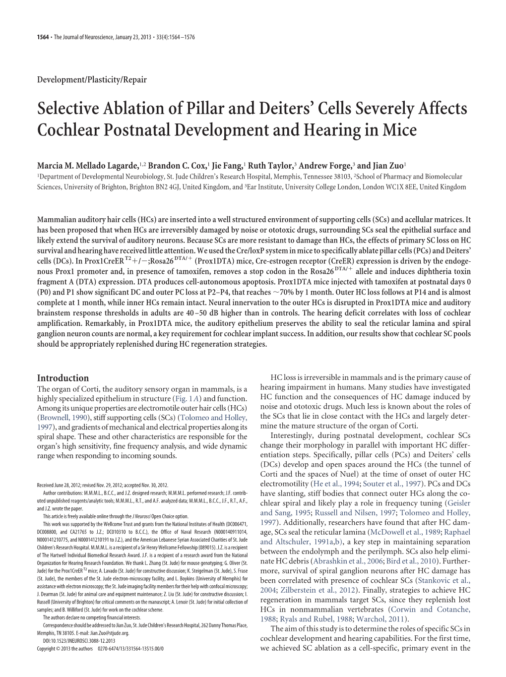 Selective Ablation of Pillar and Deiters' Cells