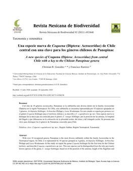 Diptera: Acroceridae) De Chile Central Con Una Clave Para Los Géneros Chilenos De Panopinae