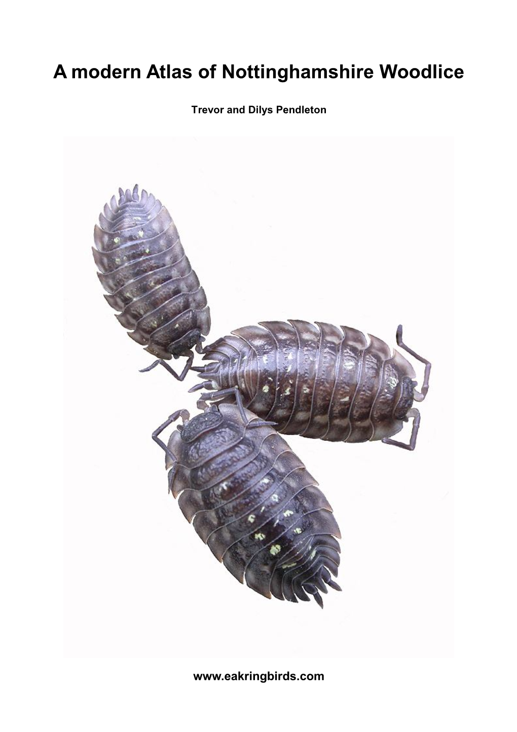 A Modern Atlas of Nottinghamshire Woodlice