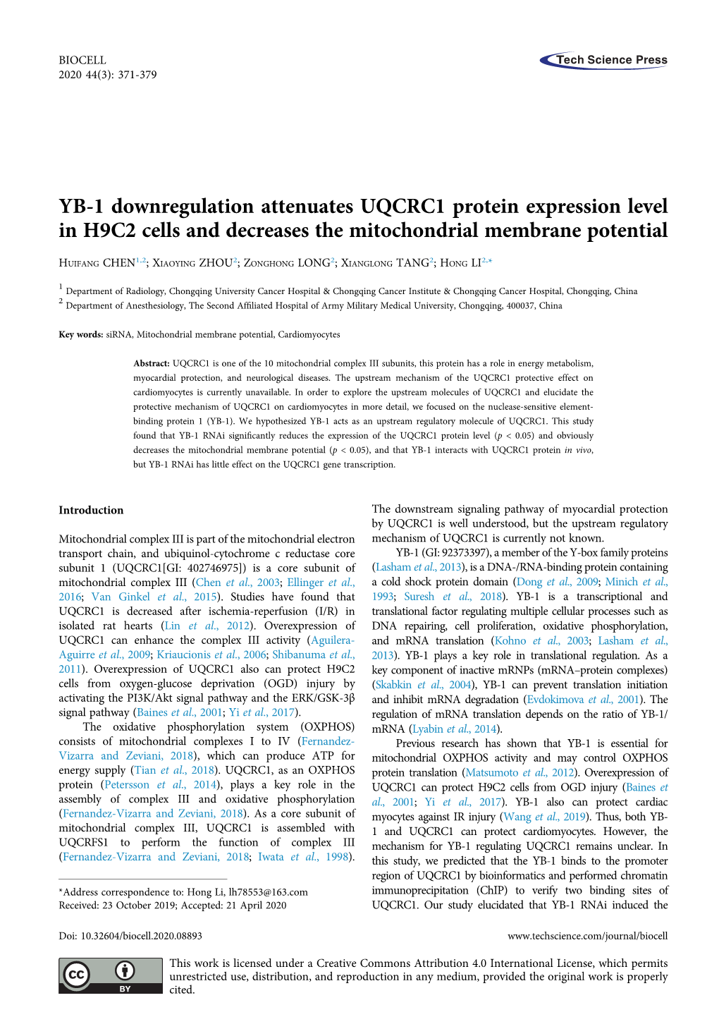 YB-1 Downregulation Attenuates UQCRC1 Protein Expression Level in H9C2 Cells and Decreases the Mitochondrial Membrane Potential