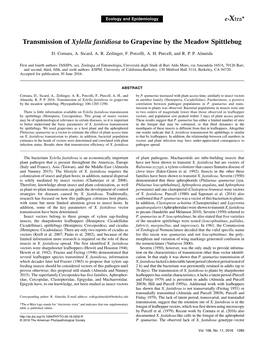 Transmission of Xylella Fastidiosa to Grapevine by the Meadow Spittlebug