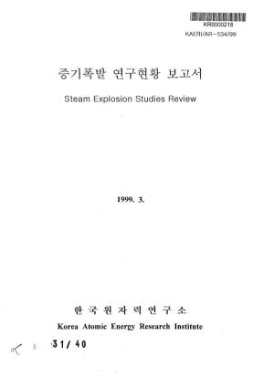Steam Explosion Studies Review