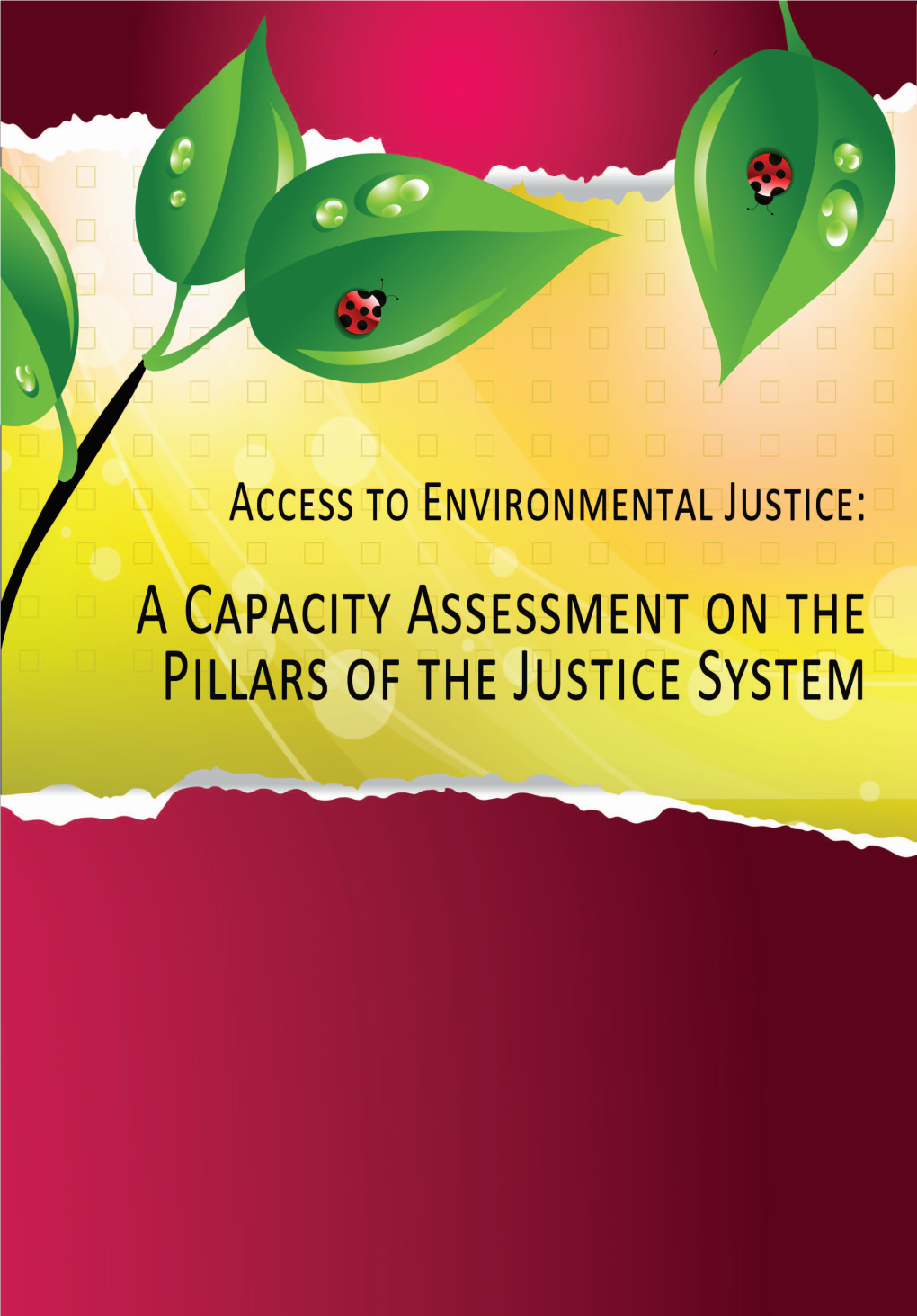 A CAPACITY ASSESSMENT on the PILLARS of the JUSTICE SYSTEM I