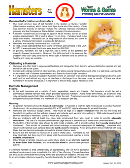 General Information on Hamsters