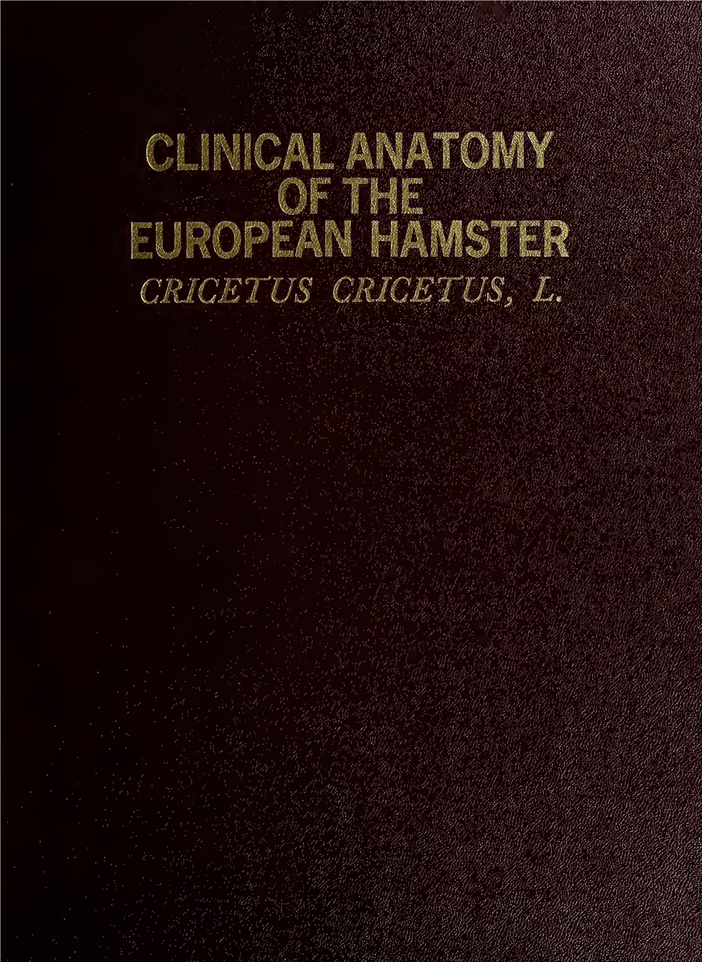 Clinical Anatomy of the European Hamster : Cricetus Cricetus, L