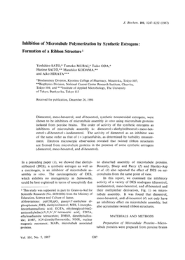 Inhibition of Microtubule Polymerization by Synthetic Estrogens