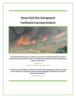 Horse Park Fire Entrapment Facilitated Learning Analysis