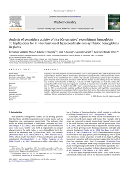 (Oryza Sativa) Recombinant Hemoglobin 1: Implications for in Vivo Function of Hexacoordinate Non-Symbiotic Hemoglobins in Plants