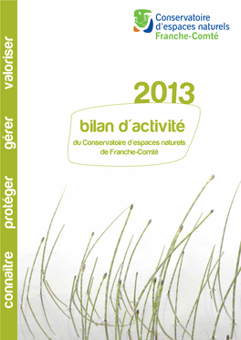 Bilan D'activité 2013 Du