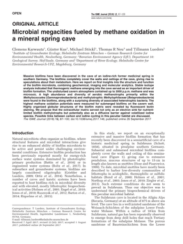Microbial Megacities Fueled by Methane Oxidation in a Mineral Spring Cave
