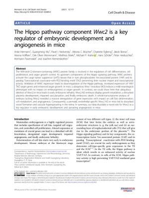 The Hippo Pathway Component Wwc2 Is a Key Regulator of Embryonic Development and Angiogenesis in Mice Anke Hermann1,Guangmingwu2, Pavel I