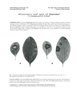 Rhizoctonia Leaf Spot of Rhaphiolepis1 T