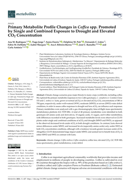 Primary Metabolite Profile Changes in Coffea Spp. Promoted by Single