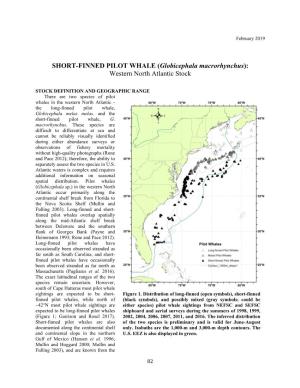 SHORT-FINNED PILOT WHALE (Globicephala Macrorhynchus): Western North Atlantic Stock
