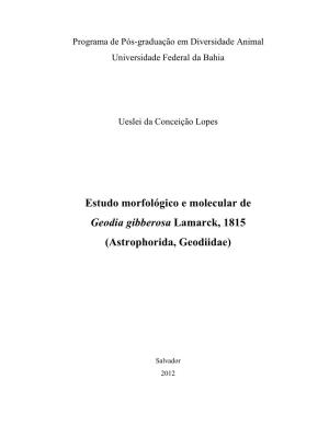 Estudo Morfológico E Molecular De Geodia Gibberosa Lamarck, 1815 (Astrophorida, Geodiidae)
