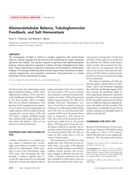 Glomerulotubular Balance, Tubuloglomerular Feedback, and Salt Homeostasis