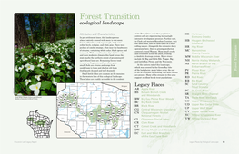 Forest Transition Ecological Landscape
