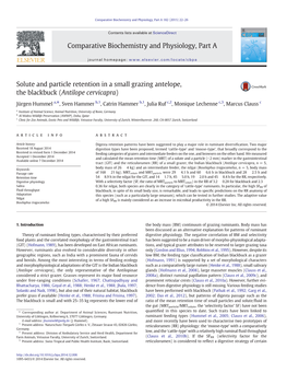 Solute and Particle Retention in a Small Grazing Antelope, the Blackbuck (Antilope Cervicapra)