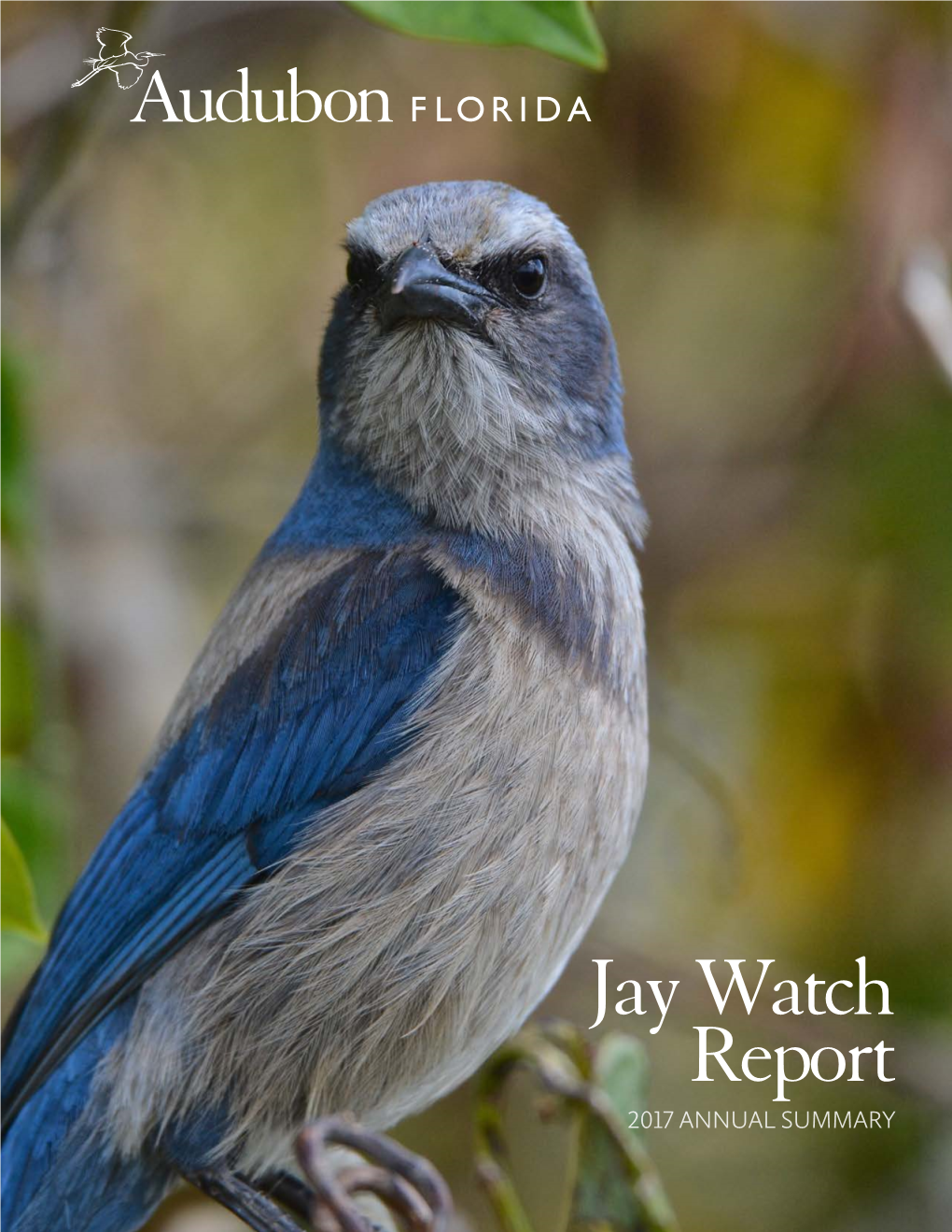 Jay Watch Report 2017 ANNUAL SUMMARY MAKING a DIFFERENCE for Florida’S Only Endemic Bird Species