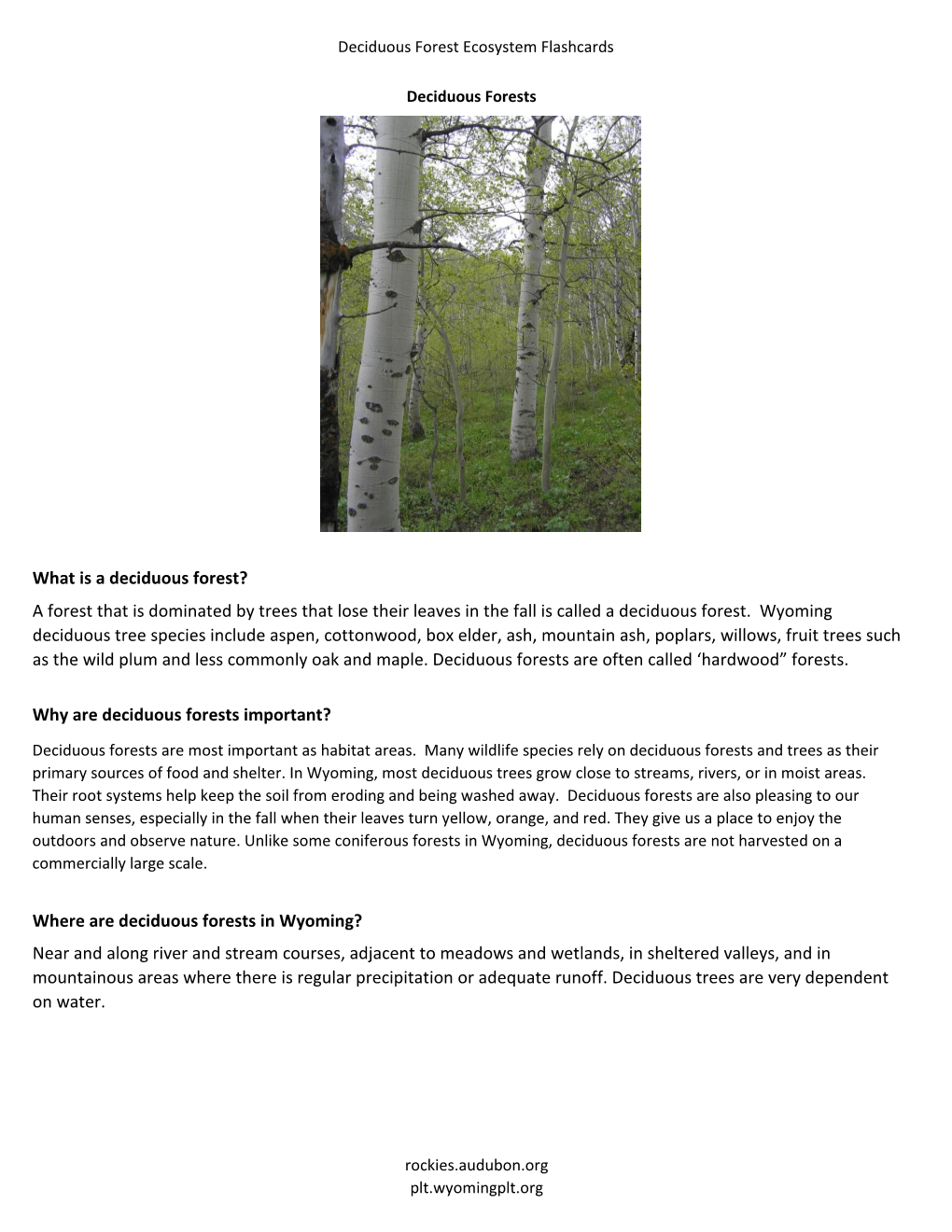 why-are-deciduous-forests-important-docslib