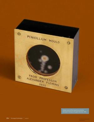 Sample of Penicillin Mould Presented by Alexander Fleming to Douglas Macleod, 1935