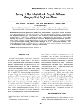 Survey of Flea Infestation in Dogs in Different Geographical Regions of Iran