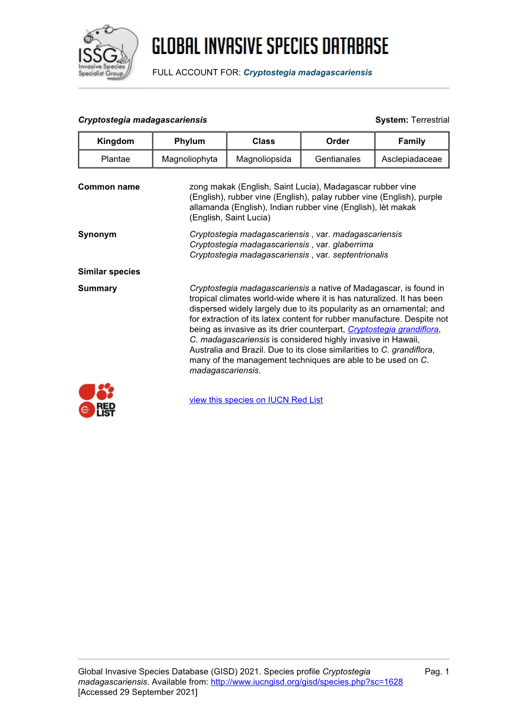 Cryptostegia Madagascariensis Global Invasive Species Database