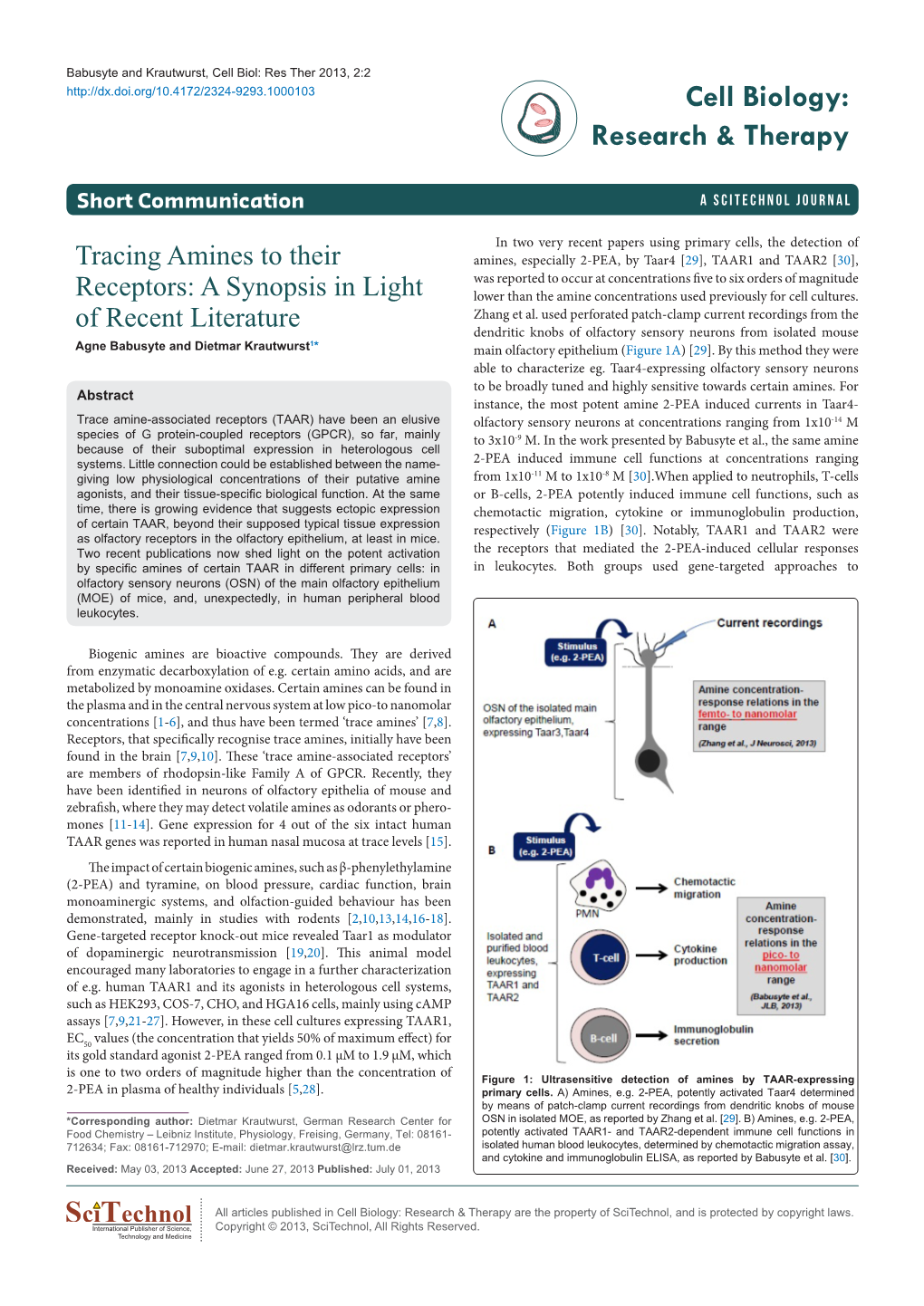 Tracing Amines to Their Receptors: a Synopsis in Light of Recent Literature