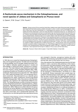 A Fissitunicate Ascus Mechanism in the Calosphaeriaceae, and Novel Species of Jattaea and Calosphaeria on Prunus Wood