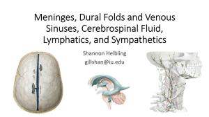 Meninges, Dural Folds and Venous Sinuses, Cerebrospinal Fluid, Lymphatics, and Sympathetics Shannon Helbling Gillshan@Iu.Edu Lecture Overview